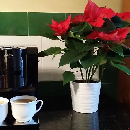 Style4rent Sunny Old Town Apartmán Krakov