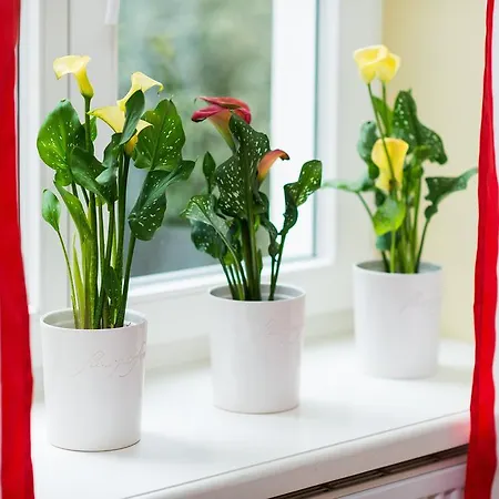 Style4rent Sunny Old Town Apartment *